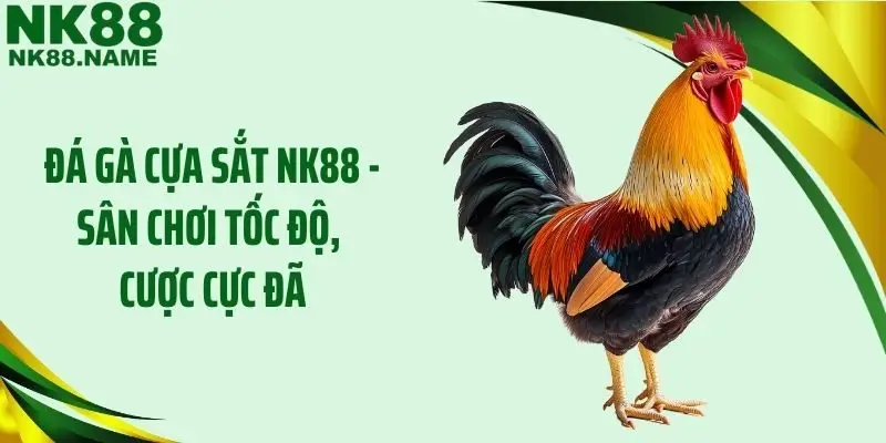 Đá Gà Cựa Sắt NK88 -  Sân Chơi Tốc Độ, Cược Cực Đã
