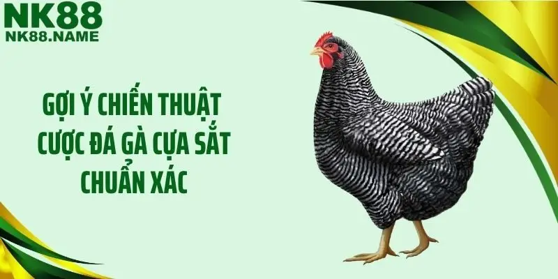 Gợi ý chiến thuật cược đá gà cựa sắt chuẩn xác